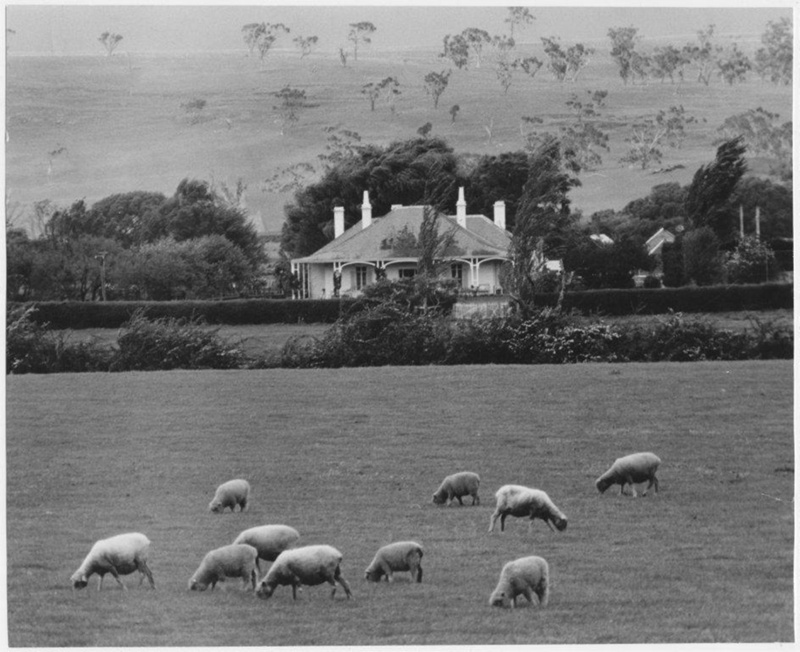 Black and white photo of Somercotes homestead circa 1960s - unknown author.